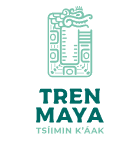 Icono Mexicana